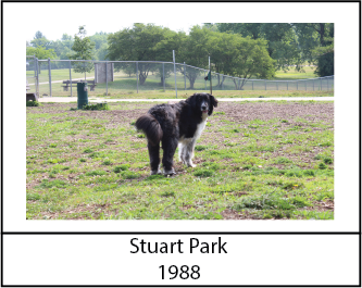 Stuart Park 1988